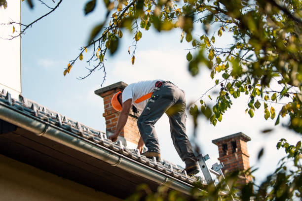 Best Flat Roof Repair Services  in Oak Hills Pce, LA